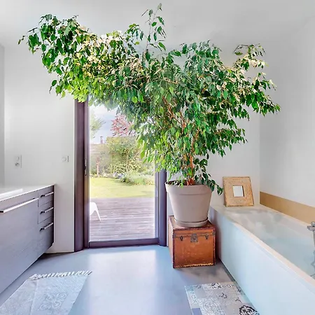 In With Private Swimming Pool, Be Inside Or Outside